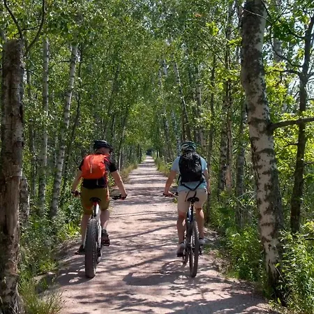 Matts 4* Espoo
